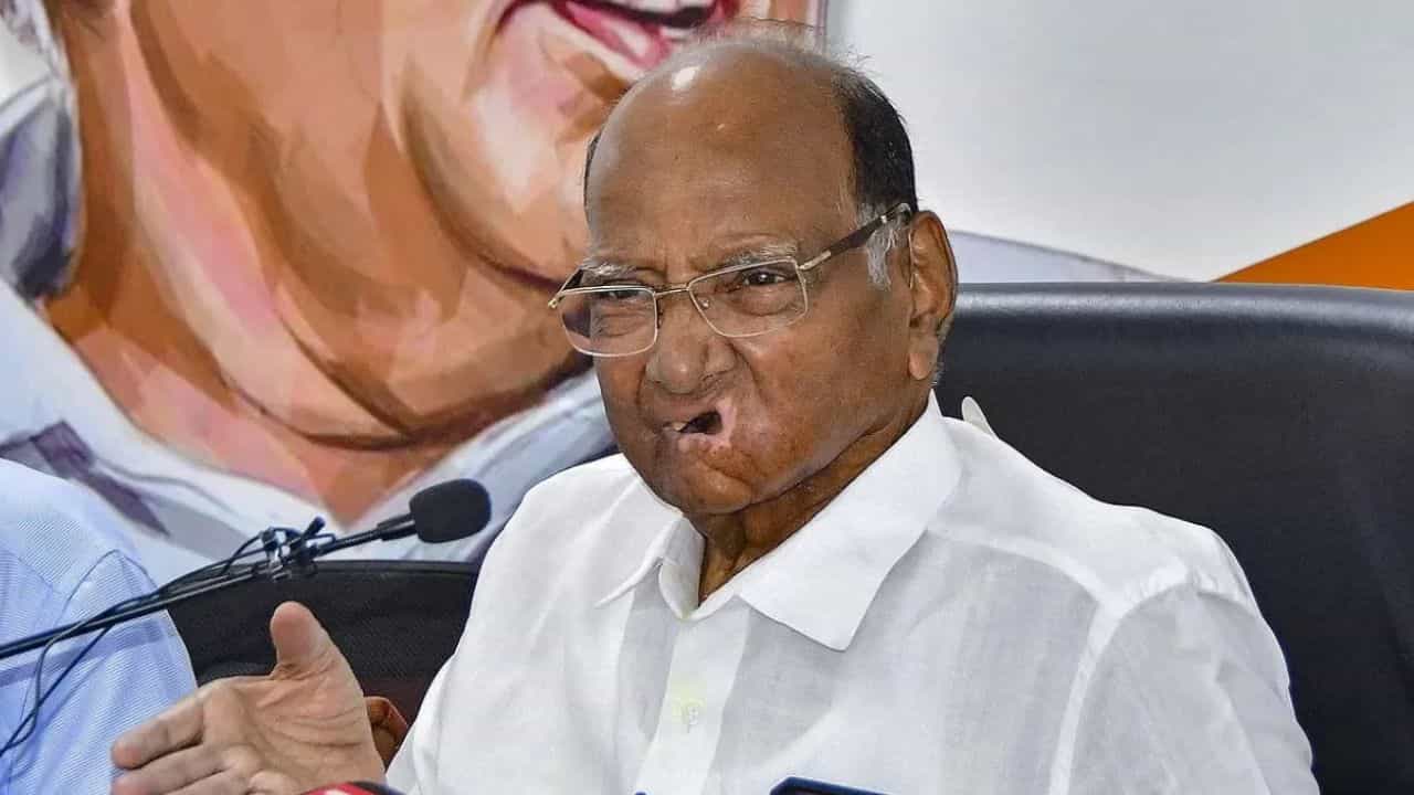 मोठी बातमी! दोन्ही राष्ट्रवादीचं विलिनीकरण होणार का? शेवटी एकदाचं ठरलं, शरद पवारांच्या बैठकीत सर्वात मोठा निर्णय