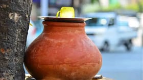 पितृदोषामुळे त्रस्त आहात? मग माठाजवळ ठेवा ही एक छोटी वस्तू