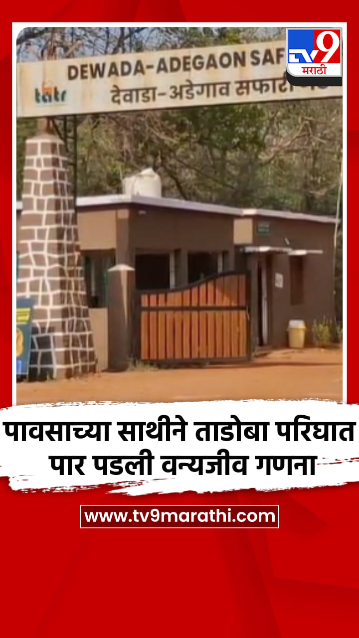 पावसाच्या साथीने ताडोबा परिघात पार पडली वन्यजीव गणना
