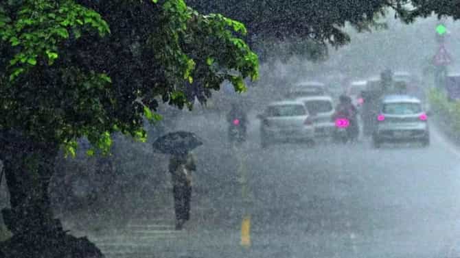 भर उन्हाळ्यात वादळी वाऱ्यासह धो-धो... झाडेही कोसळली; राज्यातील या भागाला पावसाने झोडपलं