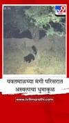 यवतमाळमध्ये अस्वलाची दहशत, वन प्रशासनाच्या दुर्लक्षामुळे गावकऱ्यांमध्ये संताप.