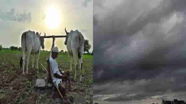 कृषी विभाग विभागाकडून शेतकऱ्यांना मोठे आवाहन, पेरणीकरिता घाई नको, देवेंद्र फडणवीस यांनीही..
