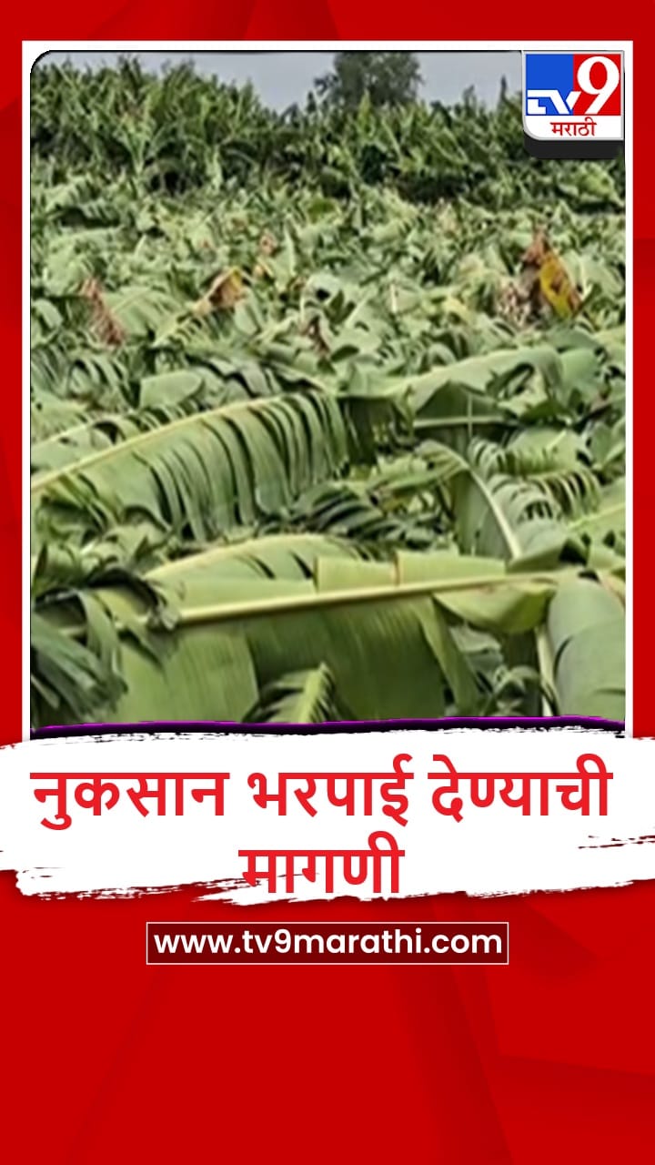 Ahilyanagar : पावसाच्या तडाख्यामुळे 1 एकर केळीची बाग जमीनदोस्त, 15 लाखांचे नुकसान-1698208