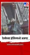 रेल्वेच्या इंजिनमध्ये अजगर