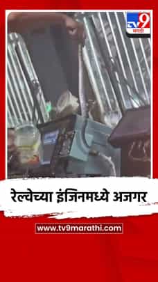 रेल्वेच्या इंजिनमध्ये अजगर-1696999