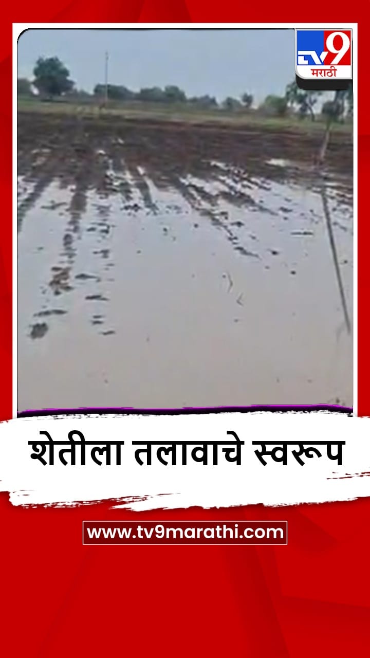 Amalner : कळमसरे परिसरातील शेतांमध्ये पावसाचे पाणी, कापूस-मका पिकांचे नुकसान-1697404