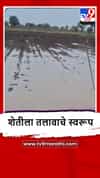 Amalner : कळमसरे परिसरातील शेतांमध्ये पावसाचे पाणी, कापूस-मका पिकांचे नुकसान