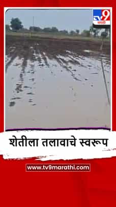 Amalner : कळमसरे परिसरातील शेतांमध्ये पावसाचे पाणी, कापूस-मका पिकांचे नुकसान-1697404