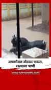 अमळनेरात जोरदार पाऊस, रस्त्यावर पाणी