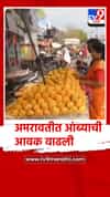 अमरावती शहरात आंब्याची आवक वाढली.