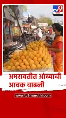 अमरावती शहरात आंब्याची आवक वाढली-1682612