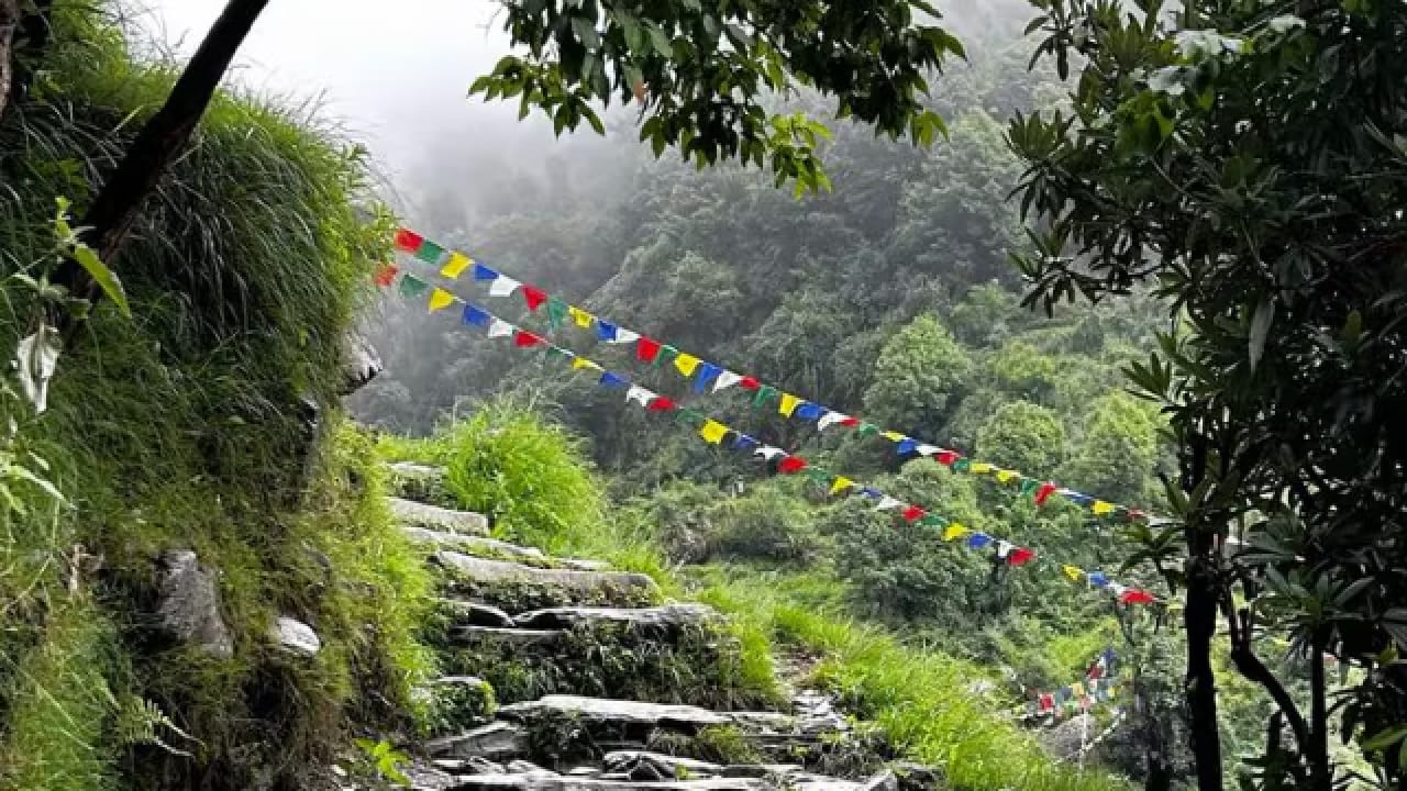 विशेष म्हणजे, प्रसिद्ध मुसी नदीचा उगम अनंतगिरीच्या डोंगररांगांमधून होतो. त्यामुळे या परिसराचे नैसर्गिक महत्त्व अधिक वाढते. सकाळच्या धुक्यात हरवलेल्या टेकड्या आणि प्रसन्न वातावरणामुळे हे ठिकाण फोटोग्राफीसाठीही लोकप्रिय आहे.