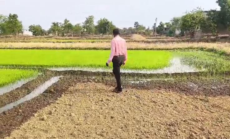 देशातील कोट्यवधी शेतकऱ्यांना हा लाभ दिला जातो. भंडारा जिल्ह्यातील लाखनी तालुक्यात मात्र एक वेगळाच प्रकार समोर आला आहे. येथे जेवनाळा येथील लाभार्थी सेतकरी खेमराज गिऱ्हेपुंजे यांच्या बँक खात्यात फक्त एक पैसा आला आहे.