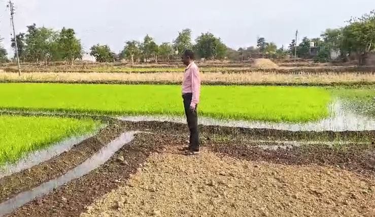 शेतकऱ्याच्या मोबाईलवर बँकेत फक्त एक पैसा जमा झाल्याचा संदेश आला आहे. त्यामुळे शेतकऱ्याकडून संताप व्यक्त होत आहे. ही आर्थिक मदत आहे, की आमची थट्टा असा सवाल आता शेतकरी करत आहेत.