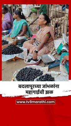 बदलापूरच्या जांभळांना महागाईची झळ-1681915