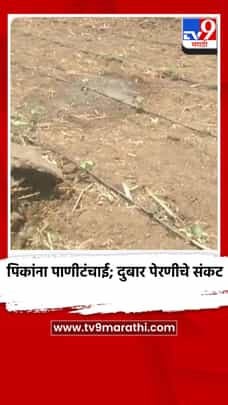 दुबार पेरणीचे संकट गडद, मान्सूनच्या विलंबामुळे शेतकऱ्यांची चिंता वाढली-1693757