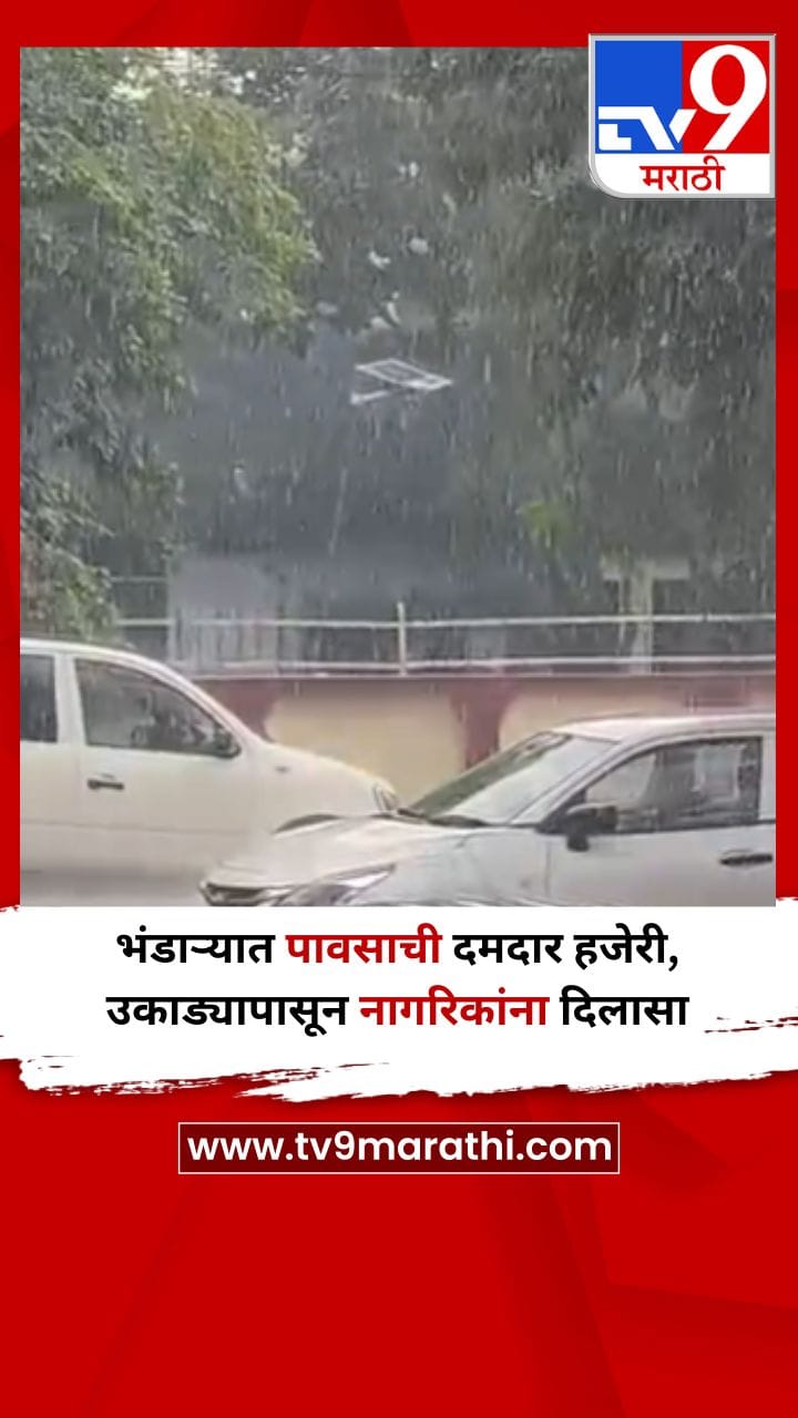 भंडाऱ्यात पावसाची दमदार हजेरी, उकाड्यापासून नागरिकांना दिलासा-1695817