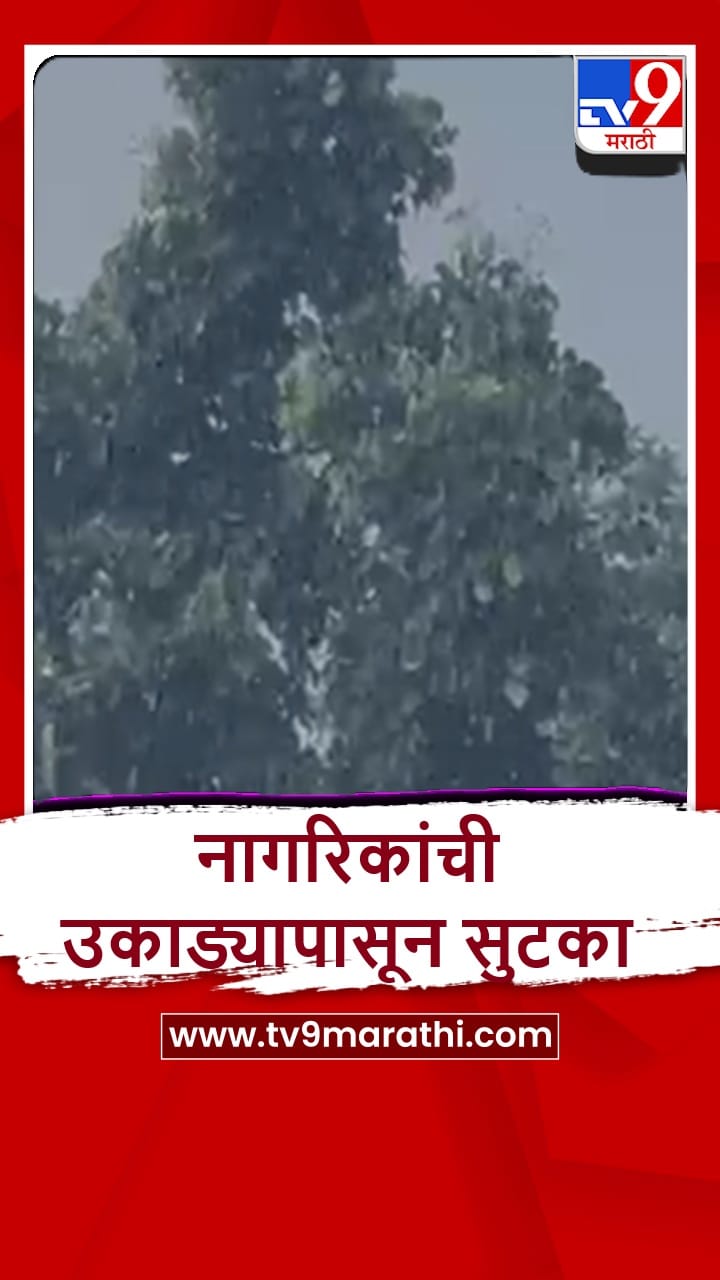 Bhandara : भंडाऱ्यात 2 दिवसांच्या विश्रांतीनंतर पावसाची हजेरी-1692623