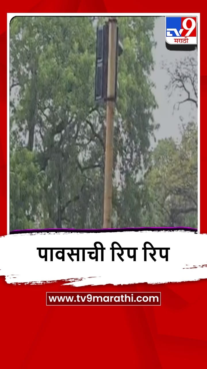 Bhandara : भंडाऱ्यात पावसाची एन्ट्री, उन्हाळ्याने वैतागलेल्यांना दिलासा-1686296