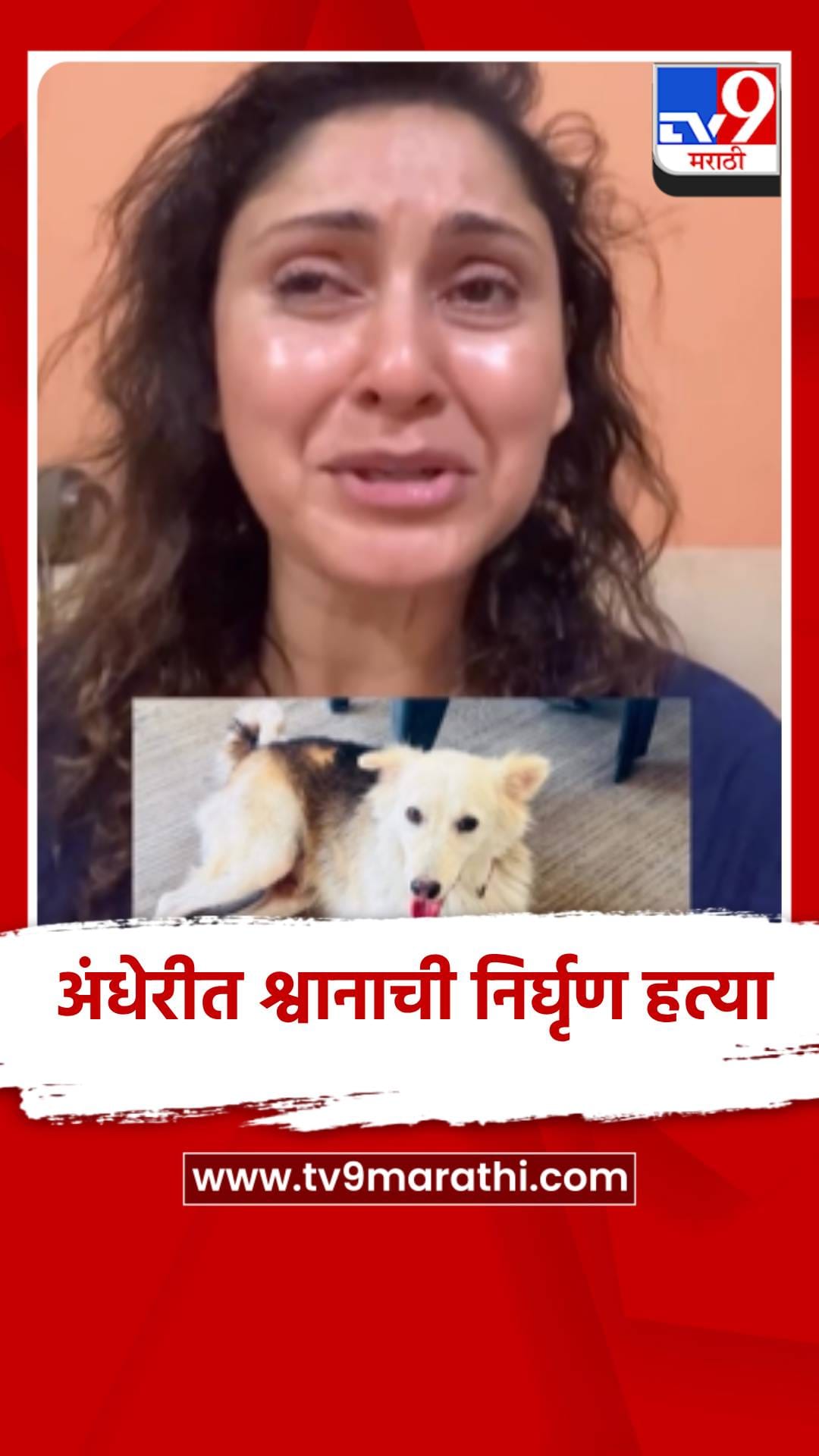 अंधेरीत श्वानाची निर्घृण हत्या, अभिनेत्री मंजिरी फडणीस आक्रमक-1687525