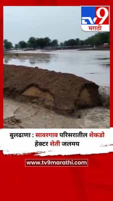 बुलढाणा : सावरगाव परिसरातील शेकडो हेक्टर शेती जलमय-1699436