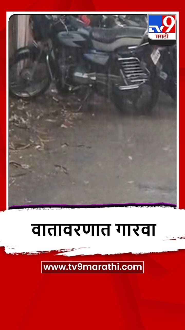 Buldana : बुलढाण्यात पावसाची दमदार हजेरी, शेतकरी सुखावला-1696005