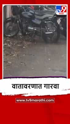 Buldana : बुलढाण्यात पावसाची दमदार हजेरी, शेतकरी सुखावला-1696005