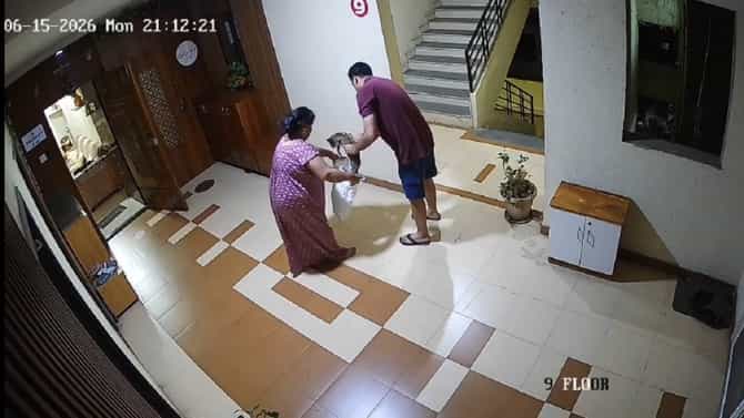 मांजरीला पकडलं, प्लास्टिकच्या पिशवीत भरलं अन्... जोडप्याचं संतापजनक कृत्य CCTV मध्ये कैद