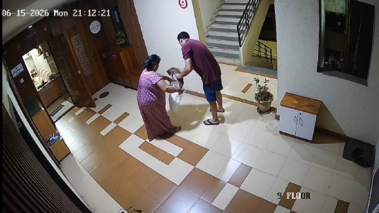 मांजरीला पकडलं, प्लास्टिकच्या पिशवीत भरलं अन्... जोडप्याचं संतापजनक कृत्य CCTV मध्ये कैद मांजरीला पकडलं, प्लास्टिकच्या पिशवीत भरलं अन्... जोडप्याचं संतापजनक कृत्य CCTV मध्ये कैद