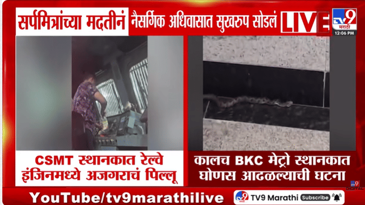 मुंबईकरांनो सावधान! काल बीकेसीत तर आज रेल्वे स्थानकावर आढळले विषारी साप; चक्क रेल्वेच्या... पहा व्हिडीओ मुंबईकरांनो सावधान! काल बीकेसीत तर आज रेल्वे स्थानकावर आढळले विषारी साप; चक्क रेल्वेच्या... पहा व्हिडीओ