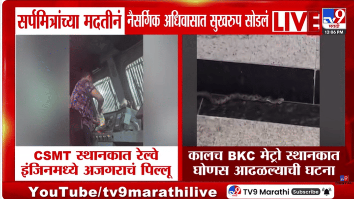 मुंबईकरांनो सावधान! काल बीकेसीत तर आज रेल्वे स्थानकावर आढळले विषारी साप; चक्क रेल्वेच्या... पहा व्हिडीओ मुंबईकरांनो सावधान! काल बीकेसीत तर आज रेल्वे स्थानकावर आढळले विषारी साप; चक्क रेल्वेच्या... पहा व्हिडीओ