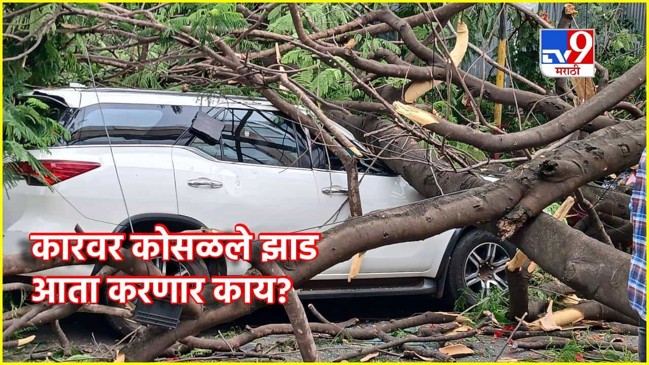 वादळात कारचे मोठे नुकसान, विम्याचा फायदा मिळेल का? नियम तर माहिती करून घ्या