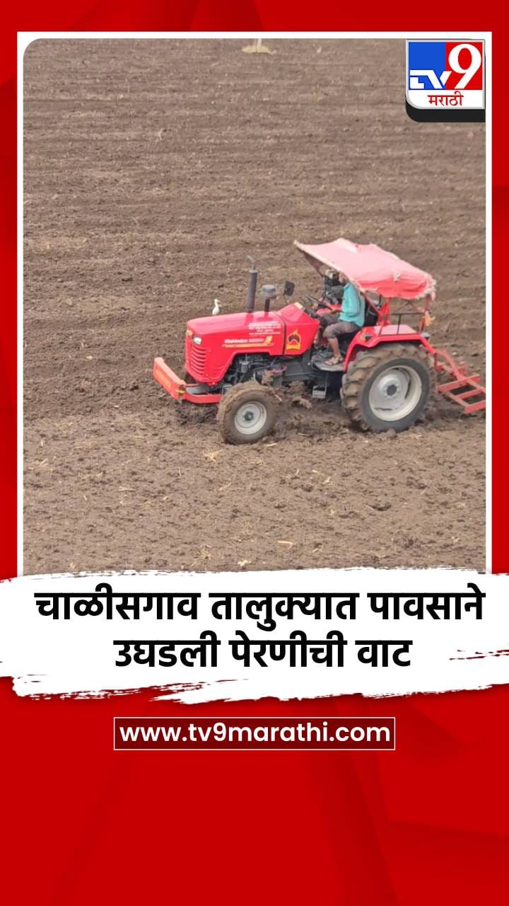 समाधानकारक पावसामुळे खरीप हंगामाच्या आशा पल्लवित-1696628