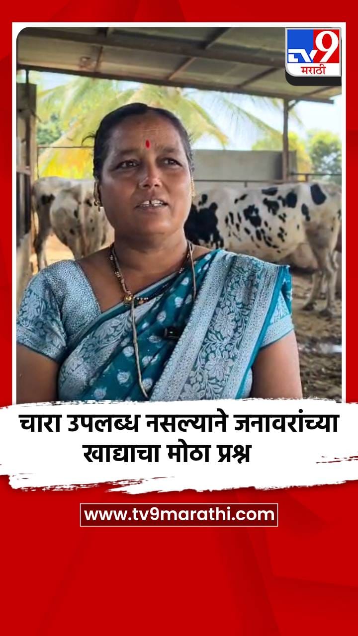 चारा उपलब्ध नसल्याने जनावरांच्या खाद्याचा मोठा प्रश्न-1693910