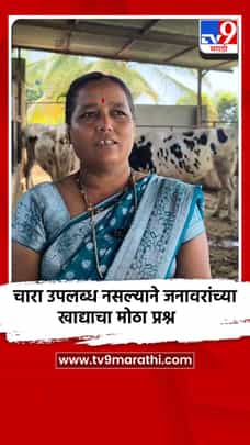 चारा उपलब्ध नसल्याने जनावरांच्या खाद्याचा मोठा प्रश्न-1693910