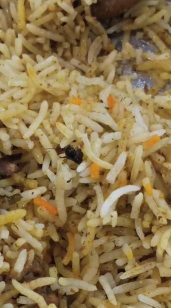 धाराशिवसह अनेक शहरात या बिर्याणी हॉटेलच्या अनेक शाखा आहेत. मुख्य शाखेतील बिर्याणीतच झुरळ निघाल्याने वेगवेगळ्या चर्चा होत आहेत. झुरळ निघाल्याची तक्रार केल्यानंतर हॉटेल व्यवस्थापनाकडून अपमानास्पद वागणूक मिळाल्याने ग्राहकाकडून संताप व्यक्त करण्यात आला आहे.