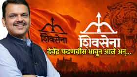 एकनाथ शिंदेंचं ऑपरेशन टायगर फसलंच होतं...फडणवीस आले धावून अन्.