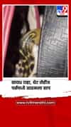 सावध राहा, थेट लेडीज पर्समध्ये आढळला साप
