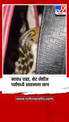 सावध राहा, थेट लेडीज पर्समध्ये आढळला साप-1699919
