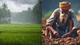 दगलबाज मान्सून... आता थेट जुलैमध्येच बरसणार? नव्या अपडेटने टेन्शन वाढल.