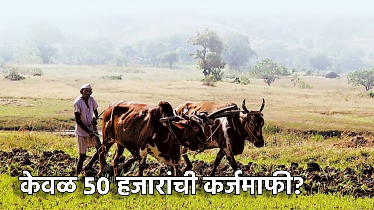 Farmer Loan Waiver: केवळ 50 हजारांची कर्जमाफी? कोण पात्र ठरणार? सरकारने तोंडाला पाने पुसली? शेतकरी नेत्याने केला कर्जमाफीचा पर्दाफाश