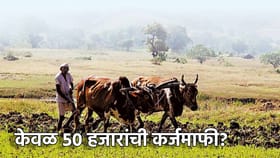 Farmer Loan Waiver: केवळ 50 हजारांची कर्जमाफी? कोण पात्र ठरणार?.