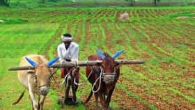 शेतकरी कर्जमाफीचा शासन निर्णय जारी, अशी असणार संपूर्ण प्रक्रिया.