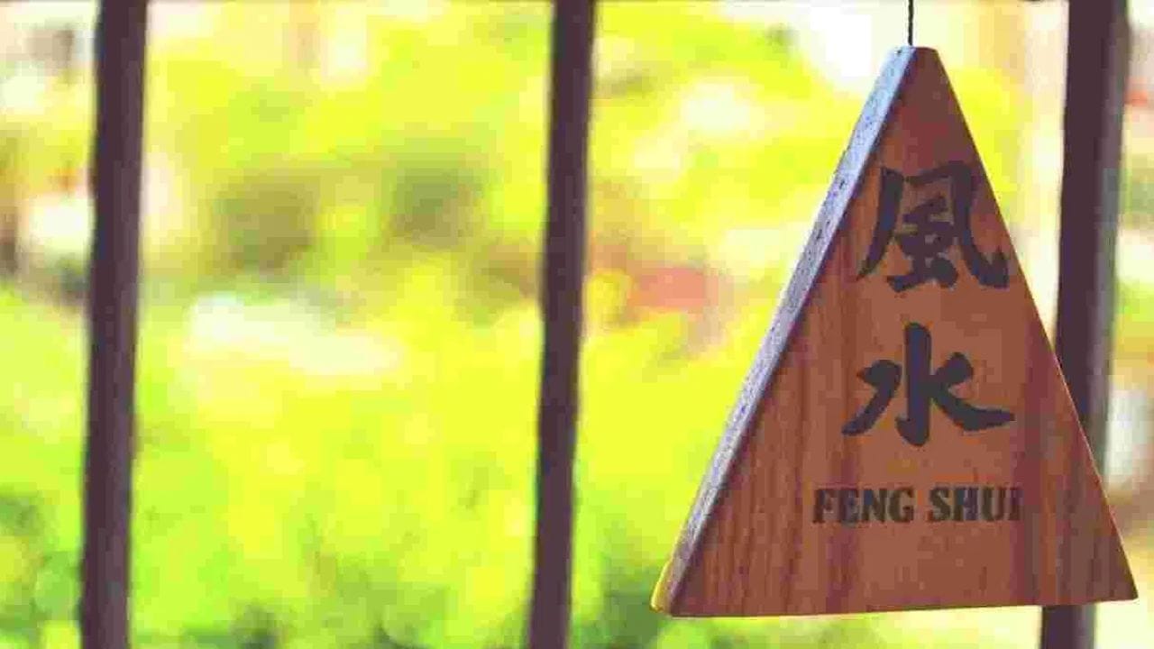 Feng Shui : ही झाडं म्हणजे भांडणाला आमंत्रण, घरात चुकूनही लावू नका Feng Shui : ही झाडं म्हणजे भांडणाला आमंत्रण, घरात चुकूनही लावू नका