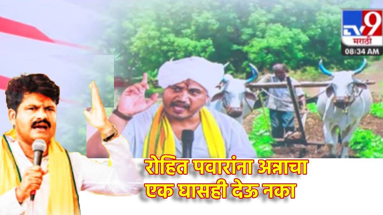 रोहित पवारांना अन्नाचा एक घासही देऊ नका, नाटक कशाला करताय? हे काय 'नटरंग'चं शुटिंग आहे का? गोपीचंद पडळकरांची खवचट टीका रोहित पवारांना अन्नाचा एक घासही देऊ नका, नाटक कशाला करताय? हे काय 'नटरंग'चं शुटिंग आहे का? गोपीचंद पडळकरांची खवचट टीका