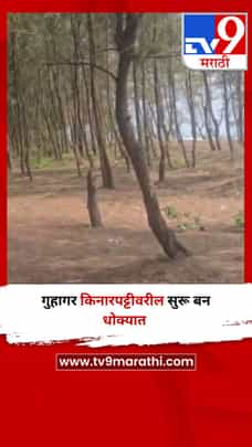 गुहागर किनारपट्टीवरील सुरू बन धोक्यात-1691381