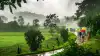 Rain Alert : पुढील 5 दिवस धोक्याचे... अतिवृष्टीचे ढग तयार; राज्याच्या या भागाला अलर्ट जारी, समुद्रही खवळणार
