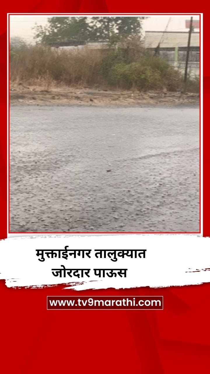 मुक्ताईनगर तालुक्यात जोरदार पाऊस-1697376