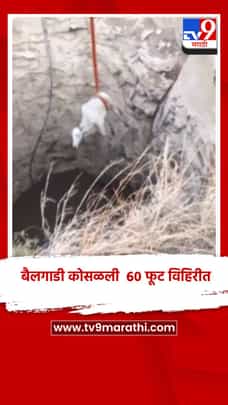 बैल बिथरले.. बैलगाडी कोसळली 60 फूट विहिरीत-1683299