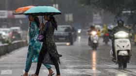 पुढील 48 तास महत्त्वाचे; या जिल्ह्यांना पाऊस झोडपणार, IMD चा इशारा.